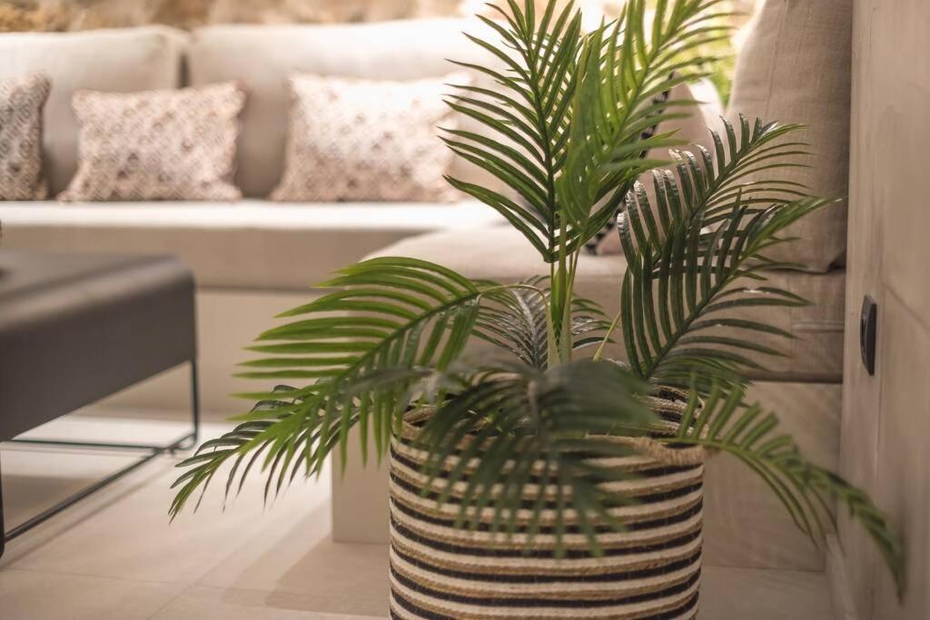 Apollonos 28 Luxury Apartment Athens
